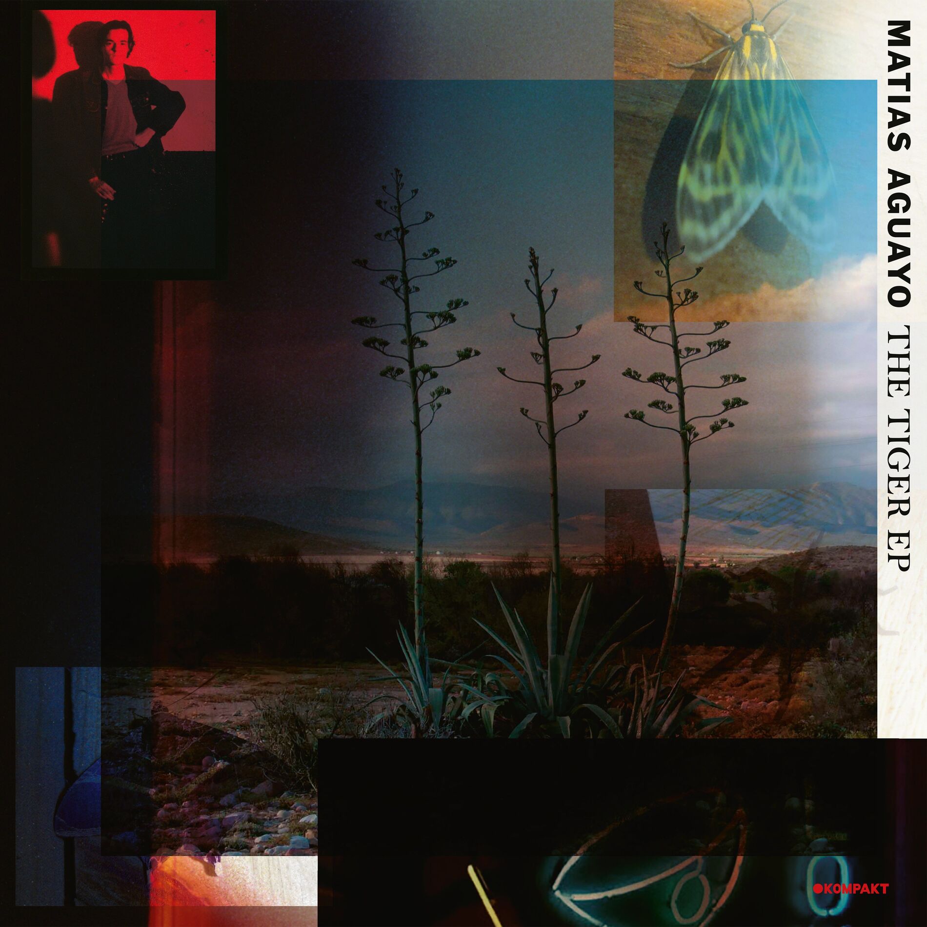 Album cover of The Tiger EP