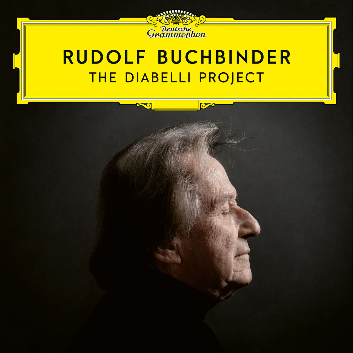 Album cover of 33 Variations in C Major, Op. 120 on a Waltz by Diabelli : Beethoven: 33 Variations in C Major, Op. 120 on a Waltz by Diabelli: Tema. Vivace