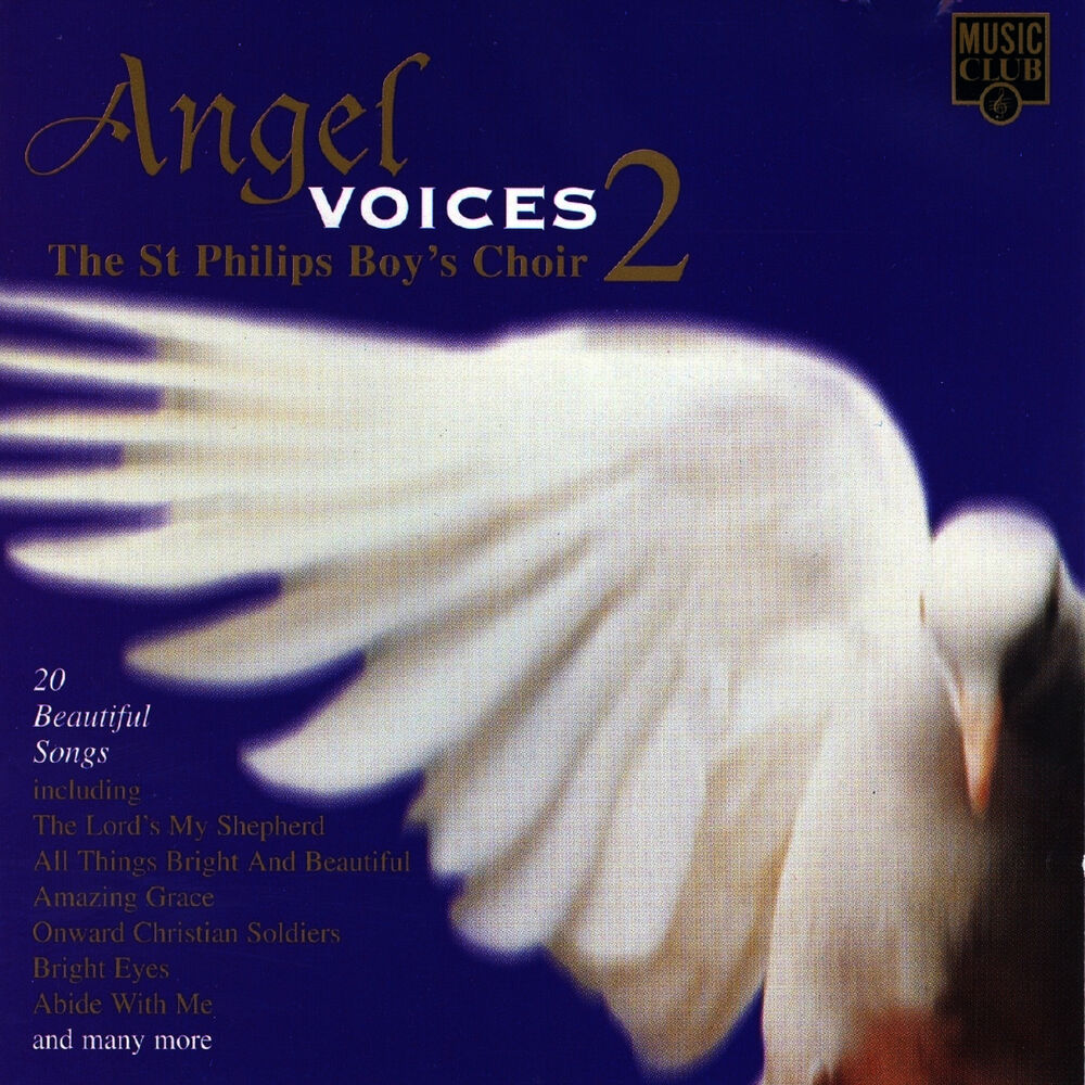 Picture of Angel Voices 2