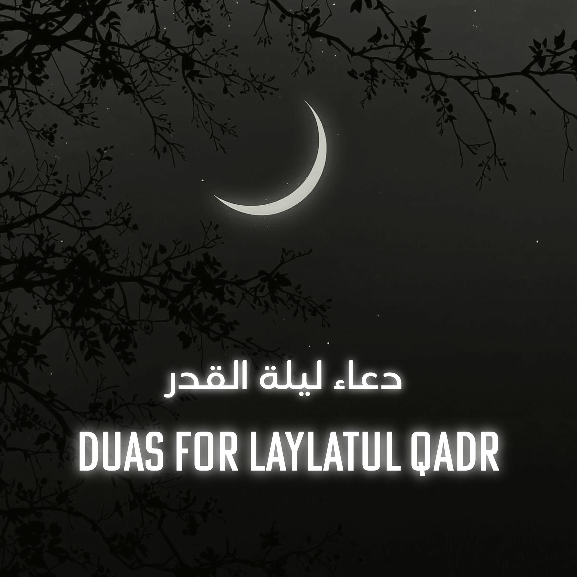 Album cover of Duas for laylatul qadr ادعية ليلة القدر (Zikir)