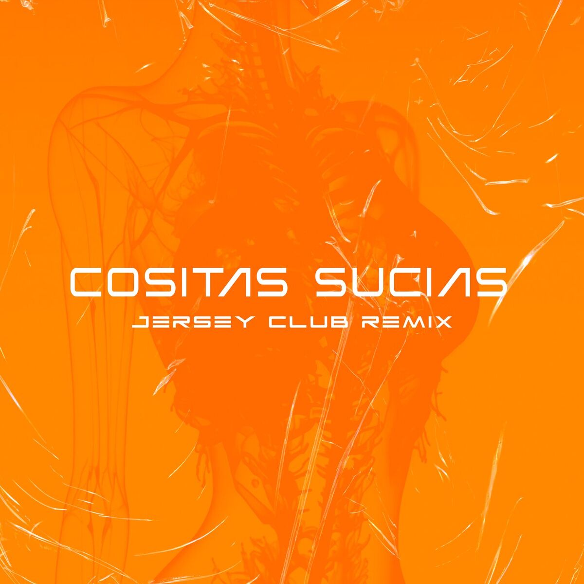 Album cover of Cositas Sucias