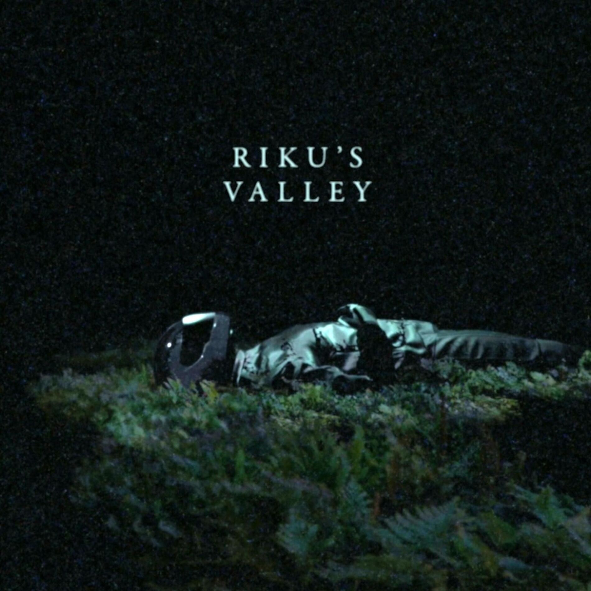 Album cover of Riku's Valley