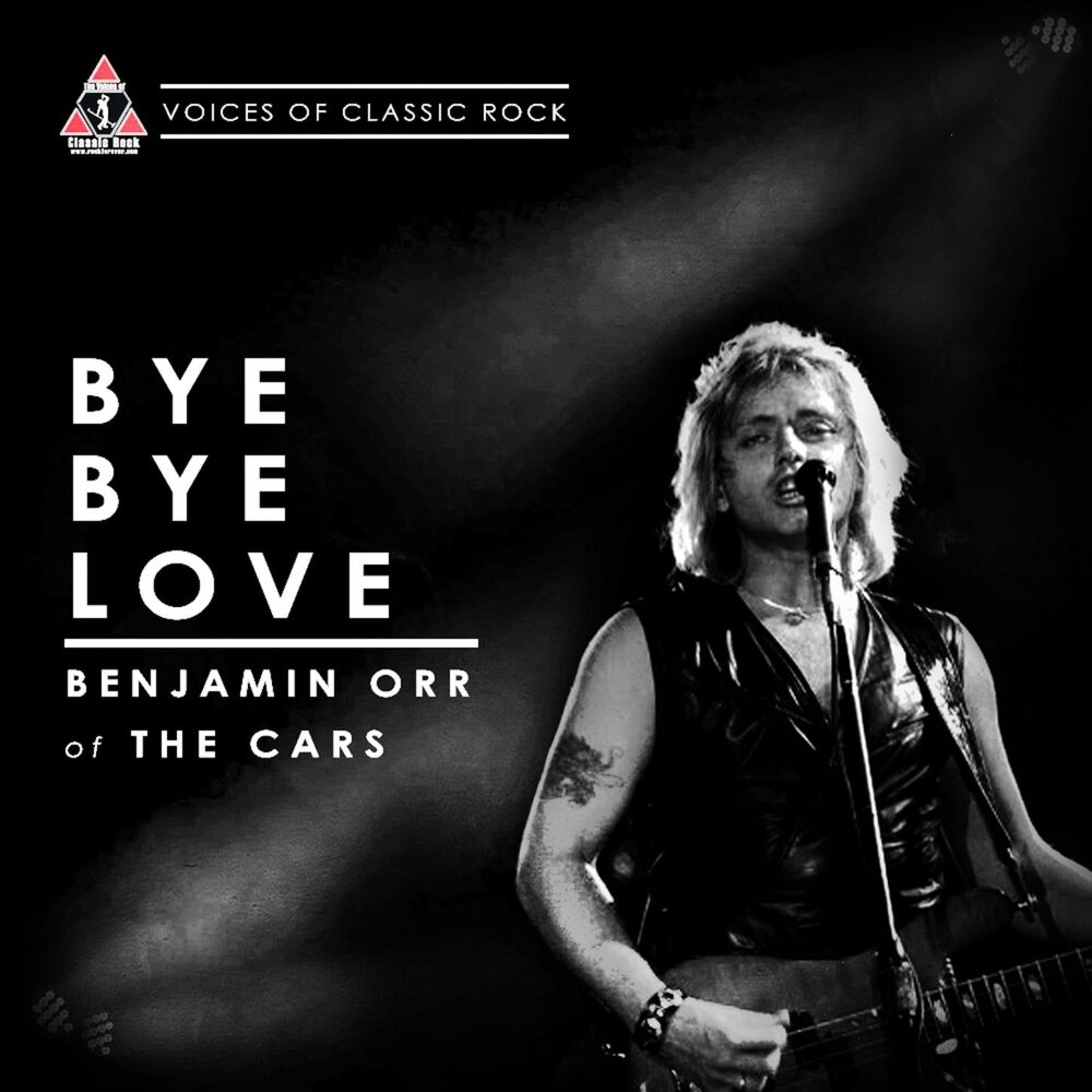 Picture of Bye Bye Love (Live)