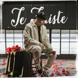 Cover of Te Fuiste