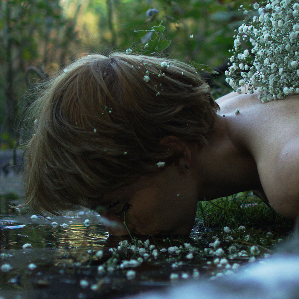Picture of Aquarius