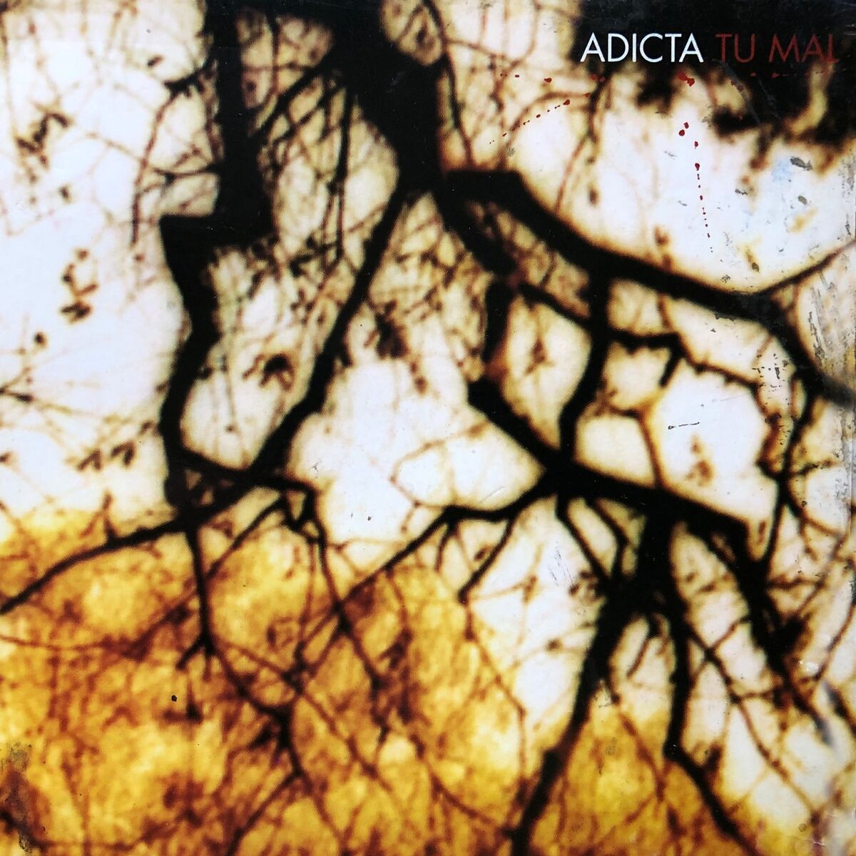 Album cover of Tu Mal (EP)