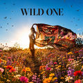 Wild One