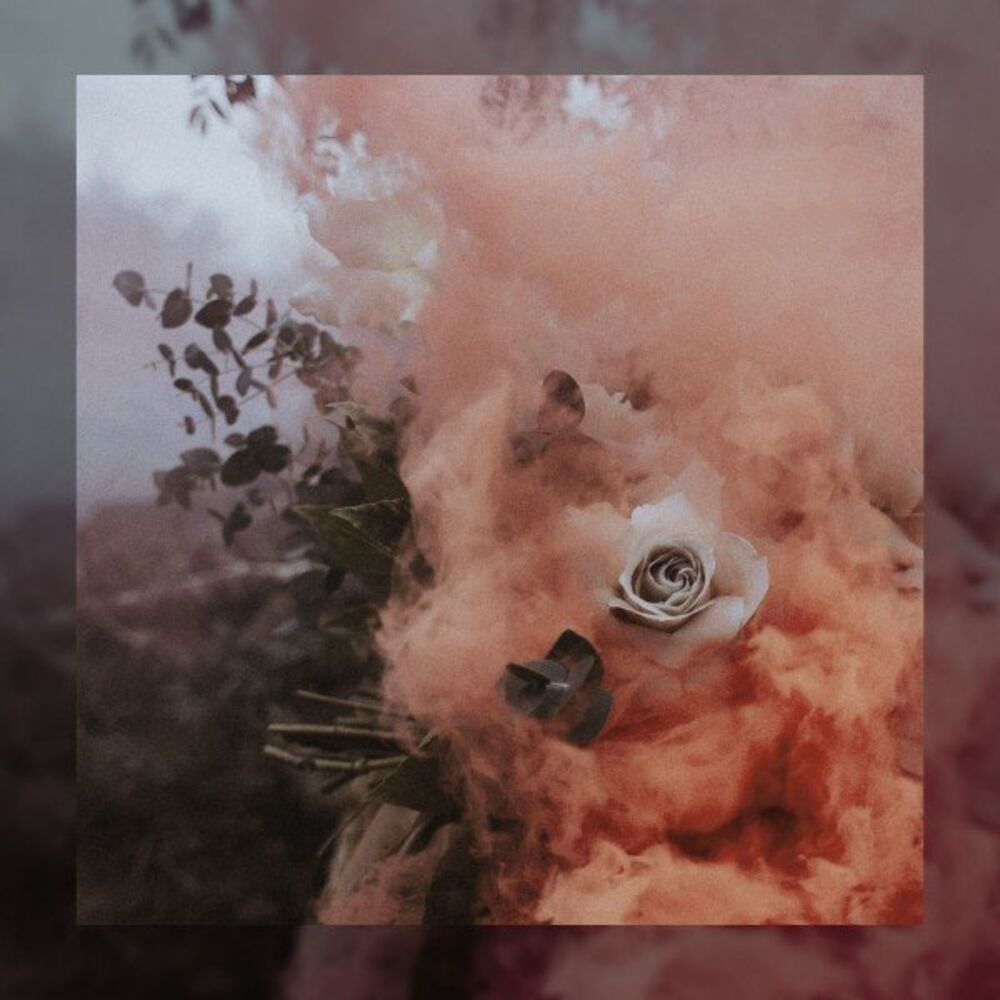 Picture of Where Flowers Bloom