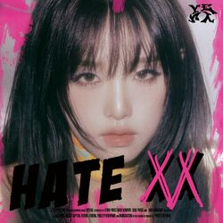 Cover of HATE XX