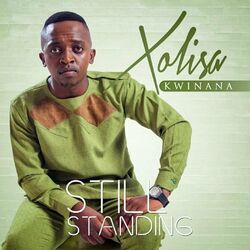 Cover of Still Standing