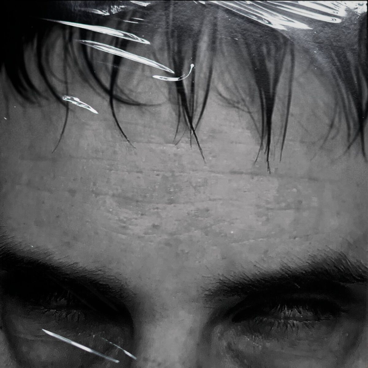 Album cover of Fanées