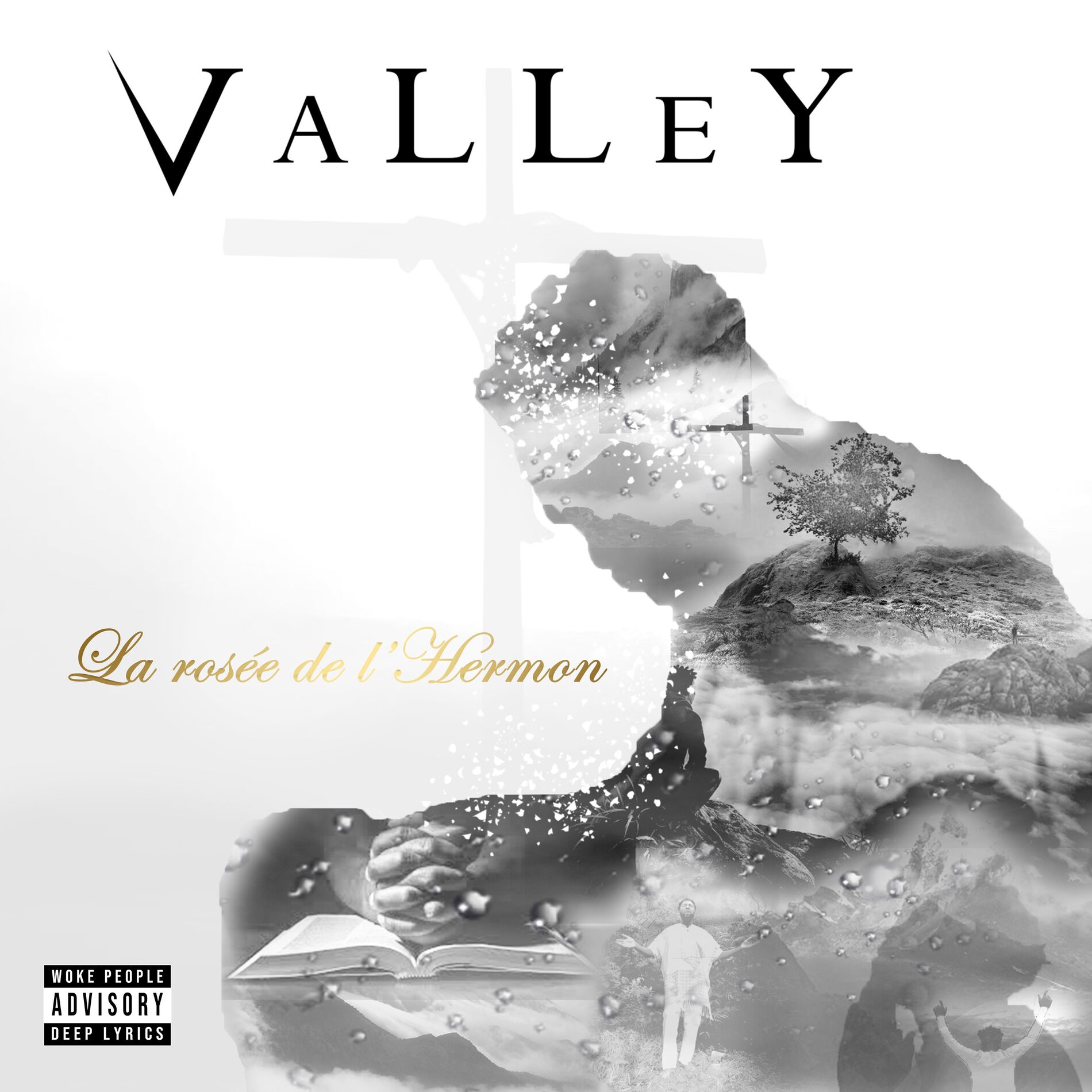 Album cover of La rosée de l'Hermon