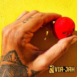 Cover of Palhaço
