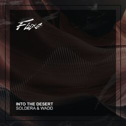 Cover of Into The Desert