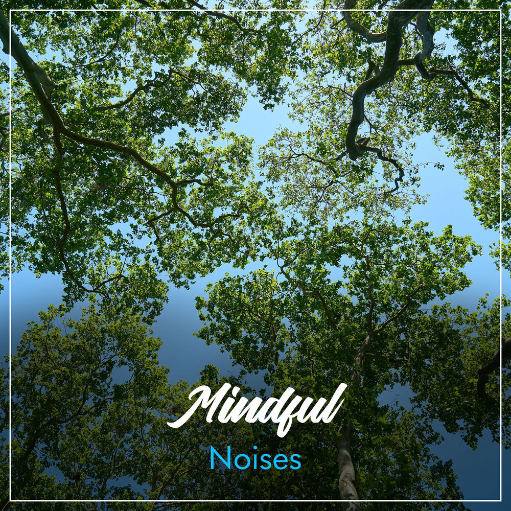 Picture of #2019 Mindful Noises for Relaxation & Mindfulness
