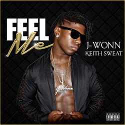 Cover of Feel Me