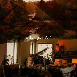 Cover of what do i do?