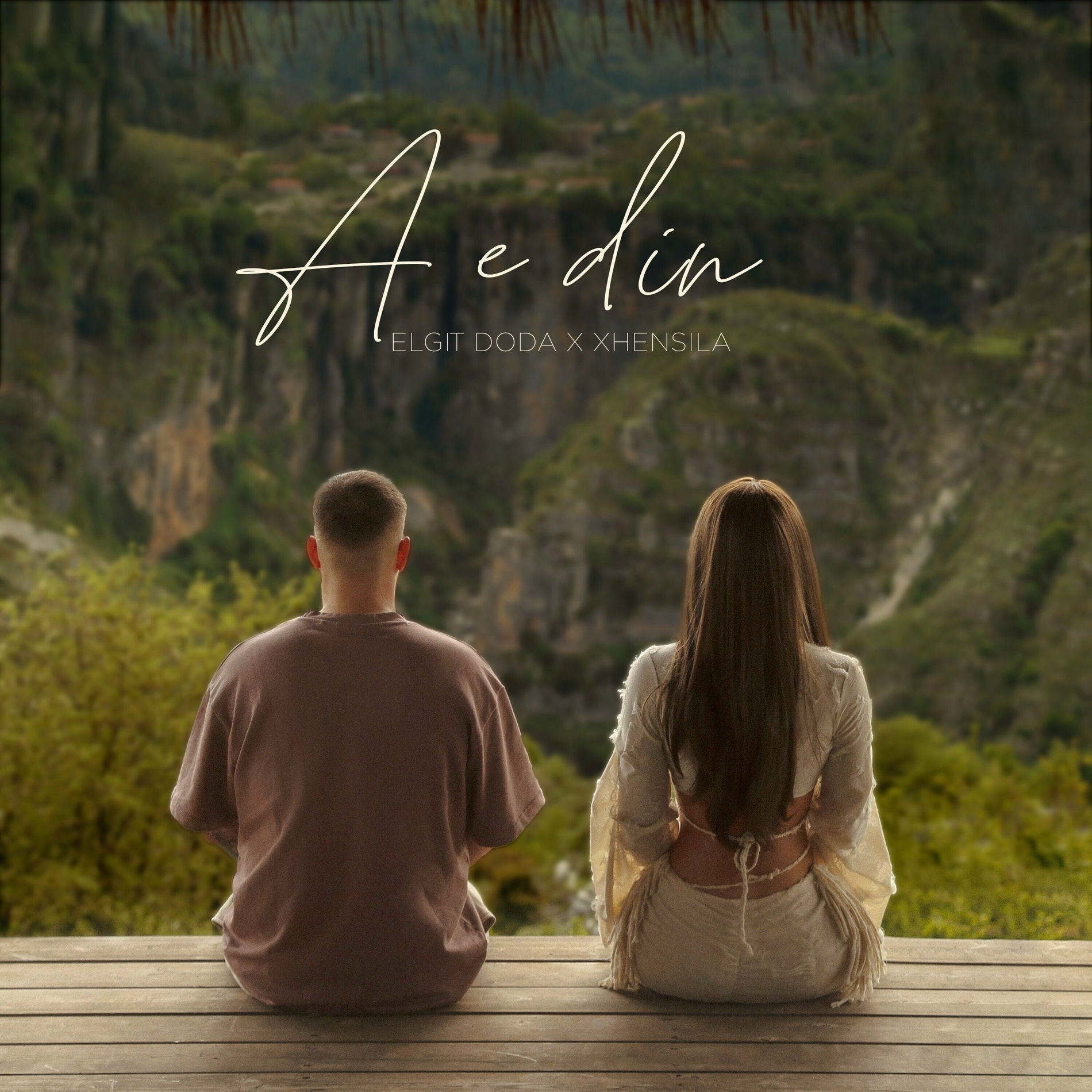 Album cover of A E Din