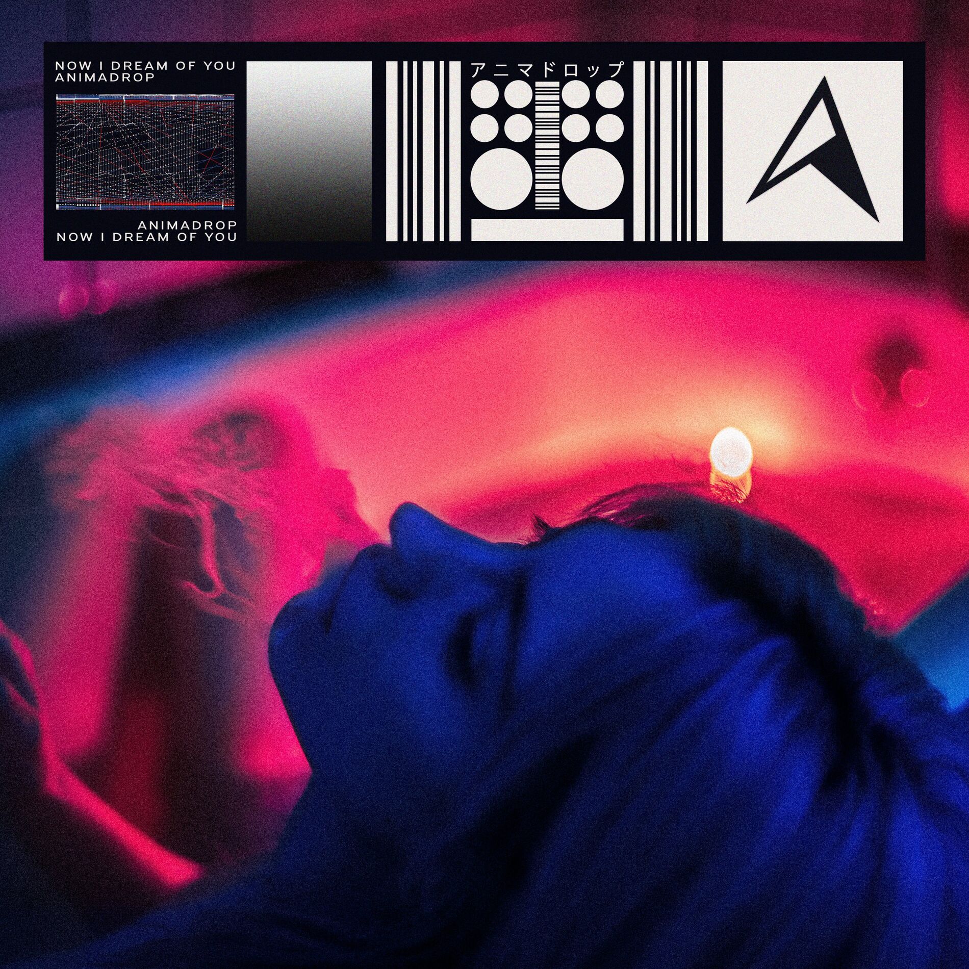 Album cover of Now I Dream Of You