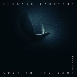 Cover of Lost in the Dark (Remixes)