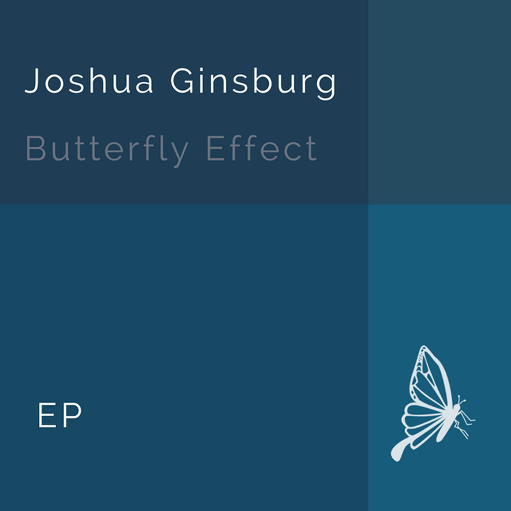 Picture of Butterfly Effect