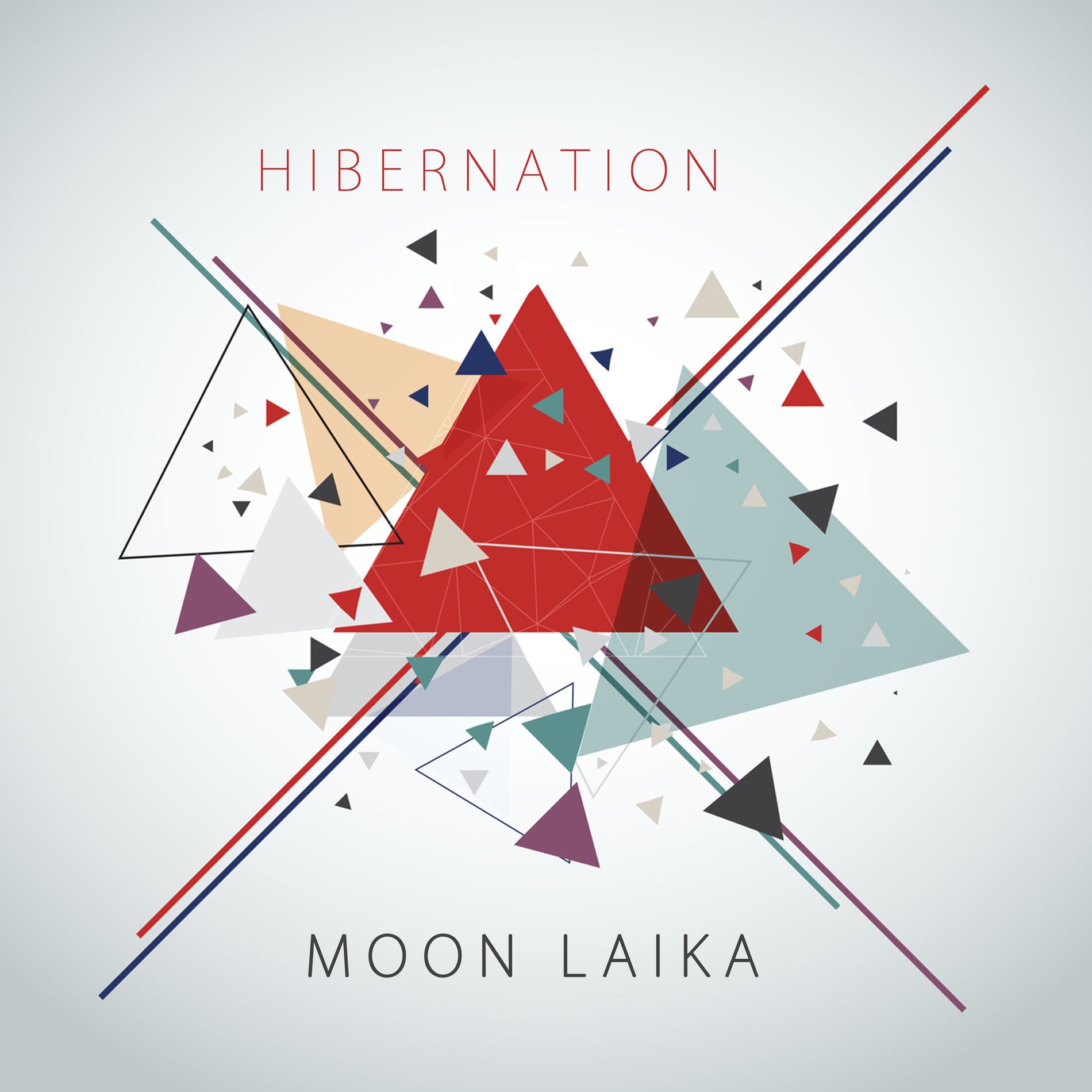 Album cover of Sleep Hibernation