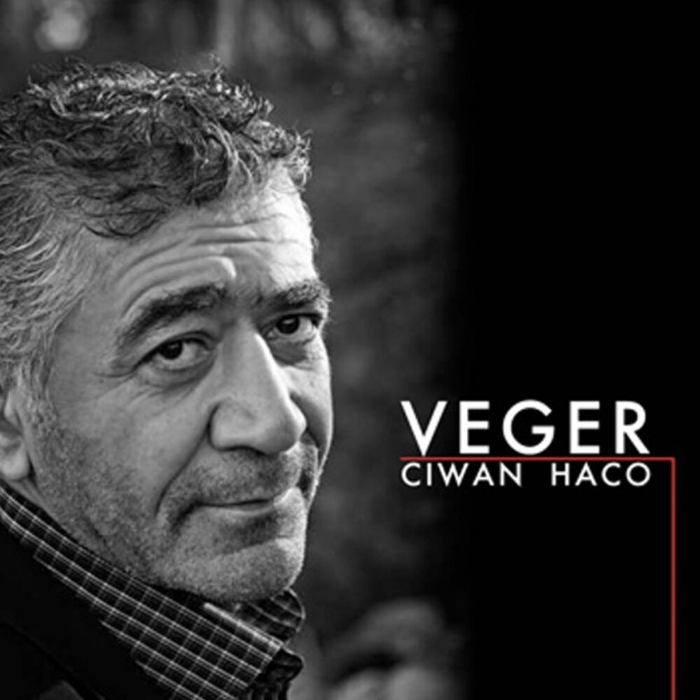 Picture of Veger