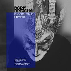 Cover of Flockentanz Remixes