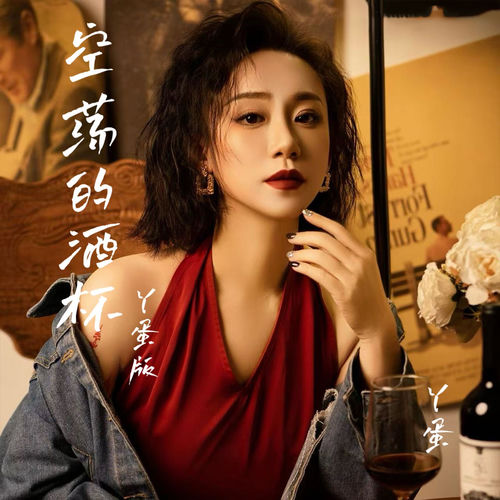 空荡的酒杯 (DJ沈浪版)