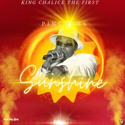 Cover of Sunshine