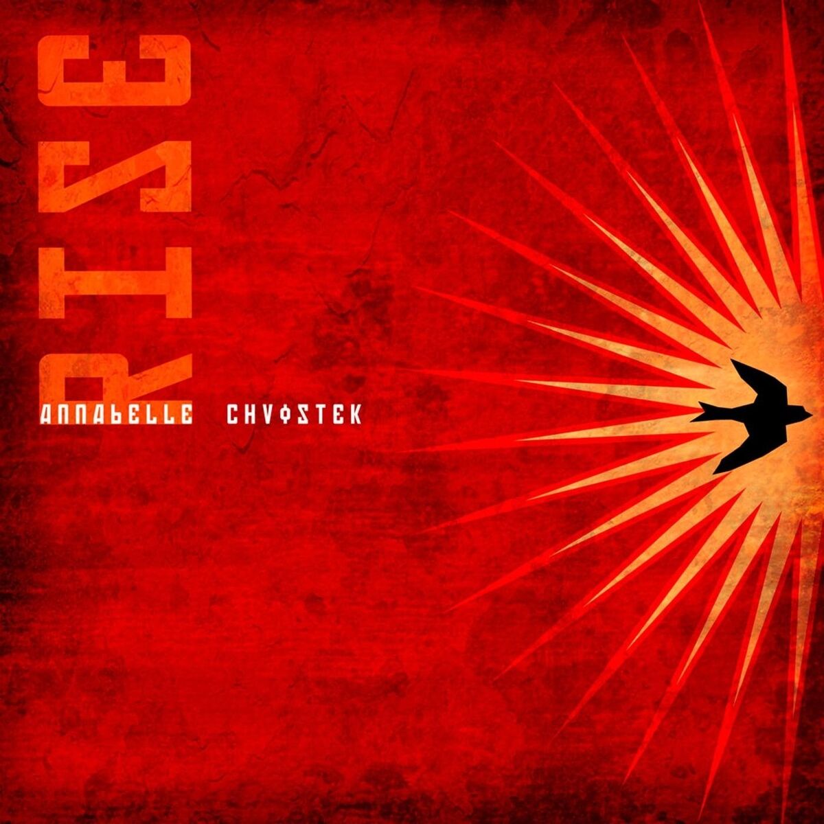 Album cover of Rise