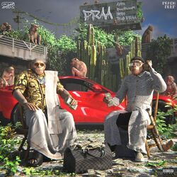 Cover of PRAA