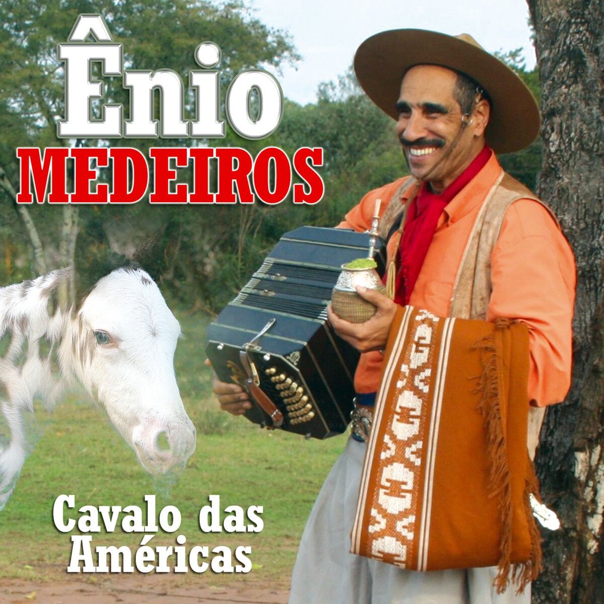 Album cover of Cavalo das Américas