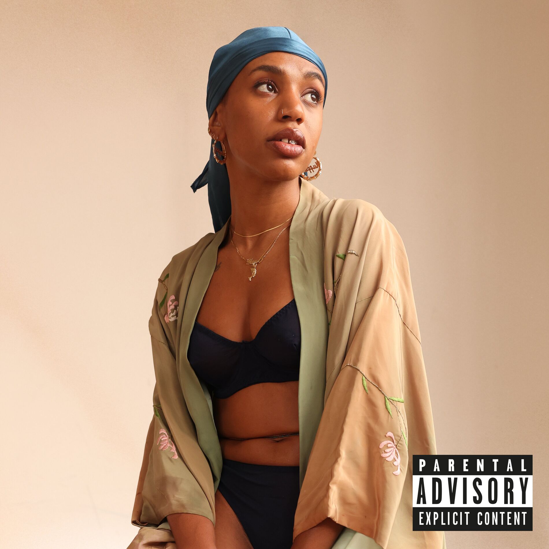 Album cover of on the pisces moon