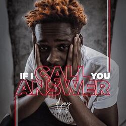 Cover of If I Call You Answer