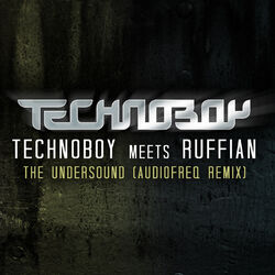 Cover of The Undersound