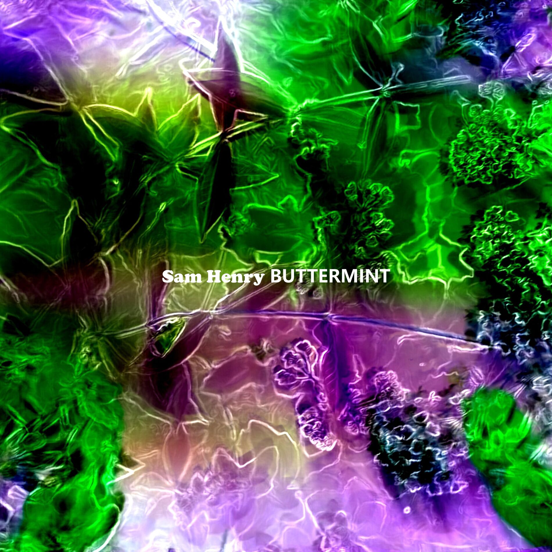 Album cover of Buttermint