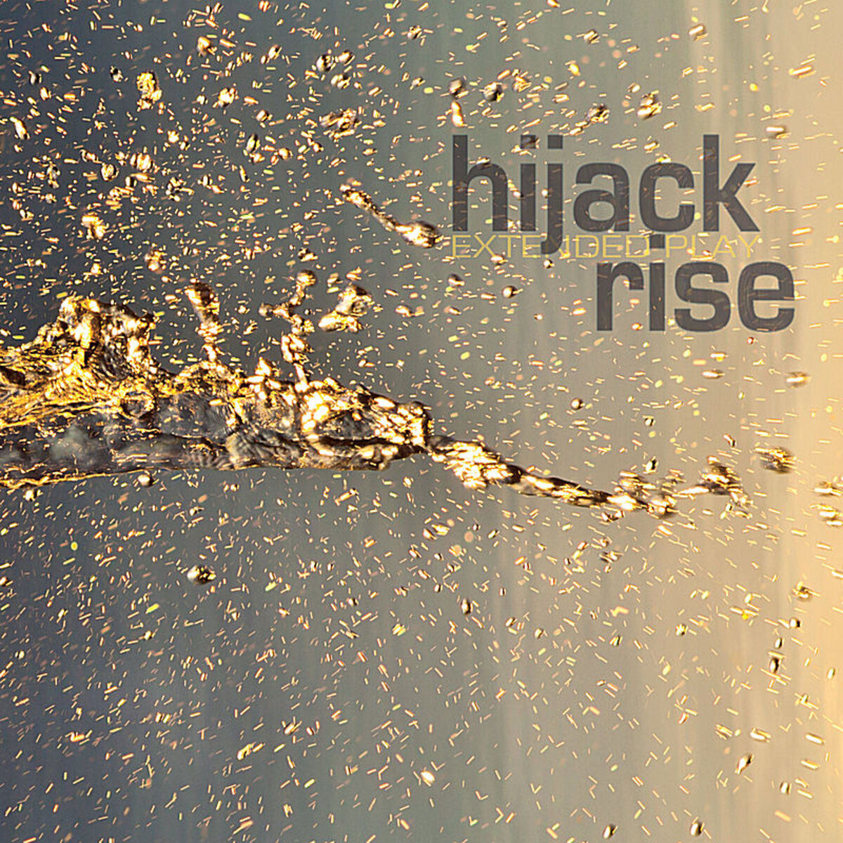 Album cover of Rise