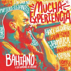 Cover of Mucha experiencia