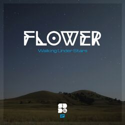 Cover of Walking Under Stars
