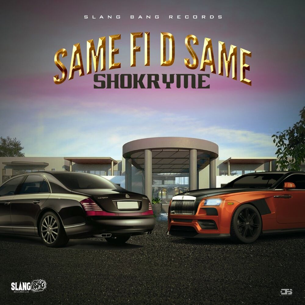 Picture of Same Fi D Same