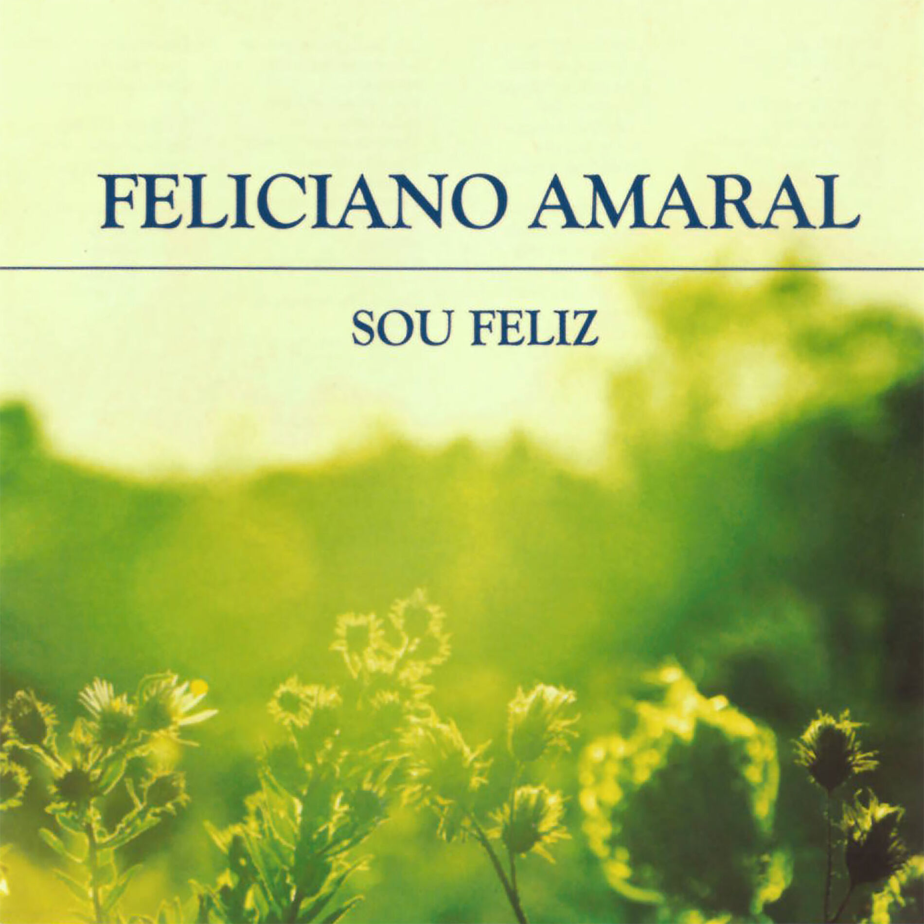Album cover of Sou Feliz