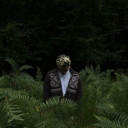 Cover of Laga