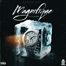 Cover of Magnifique (feat. 2A$)