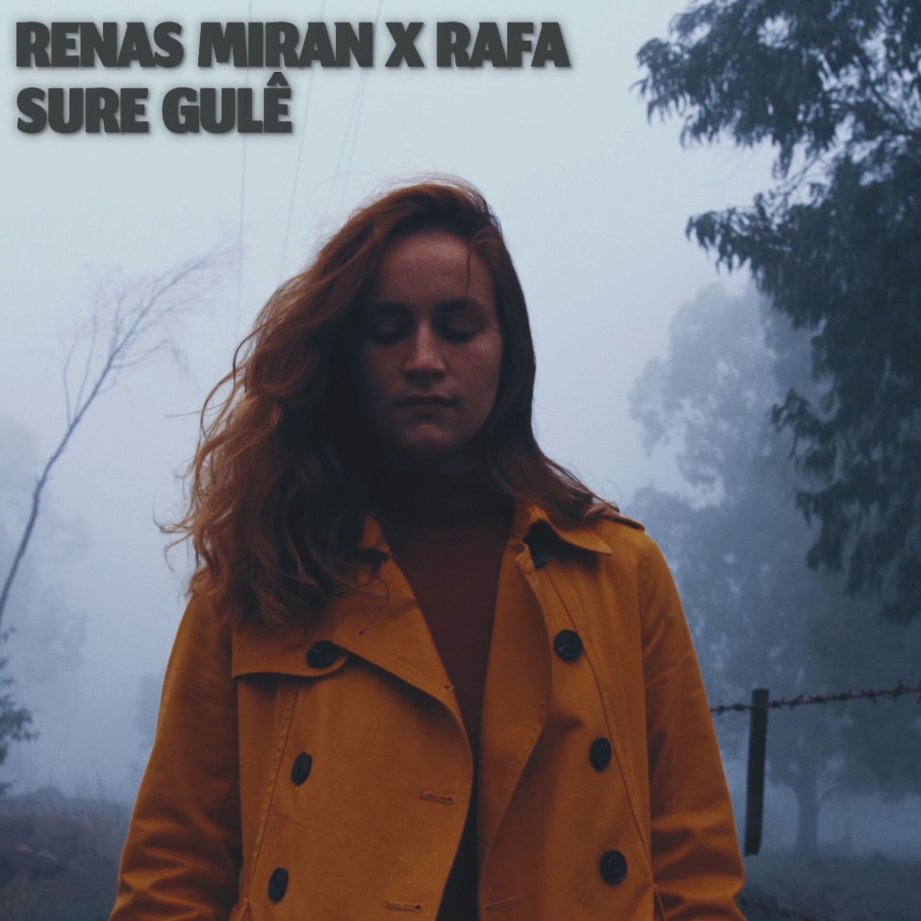 Album cover of Sure Gulê