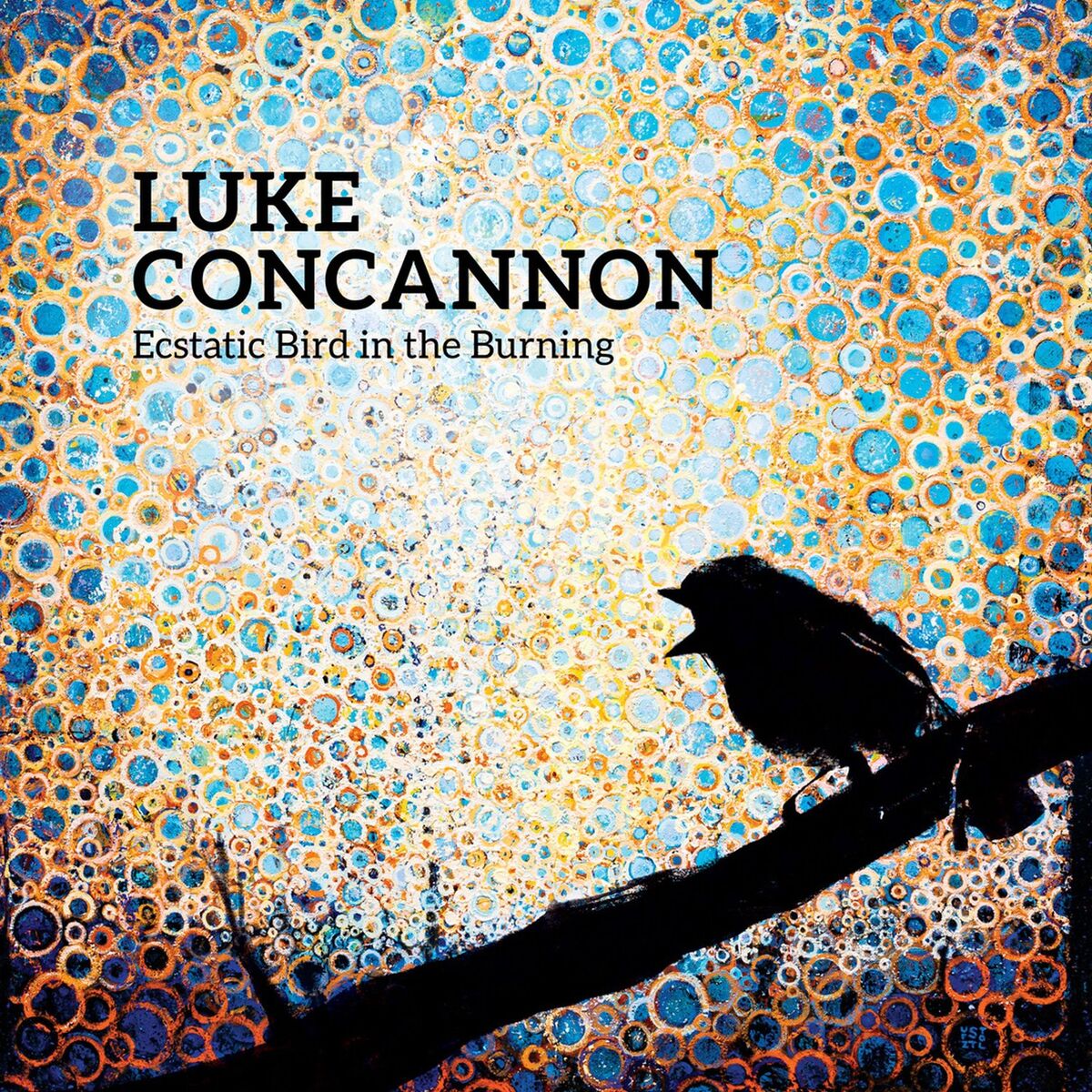 Album cover of Ecstatic Bird in the Burning