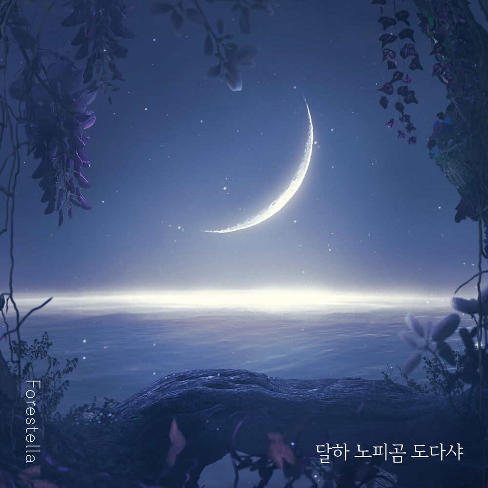 Picture of Dear Moon