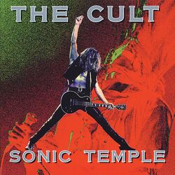 Cover of Sonic Temple