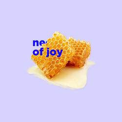 Cover of Nectar of Joy