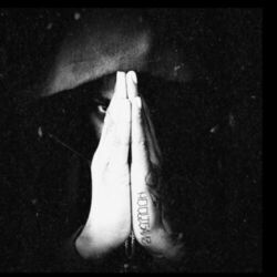 Cover of DHZ
